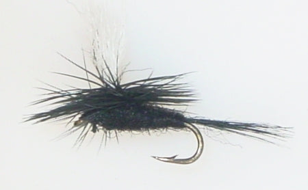 Picture of Black Gnat Parachute
