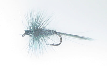 Picture of Blue Dun Midge