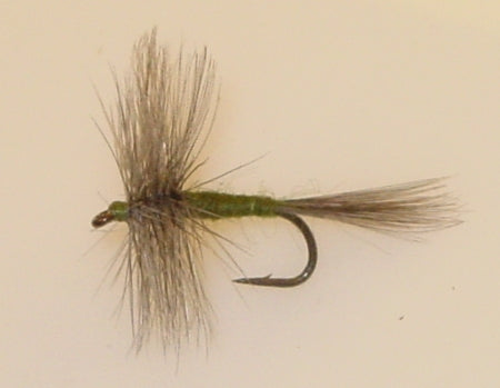 Picture of Blue Wing Olive