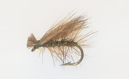Picture of Caddis, Elk Hair Olive