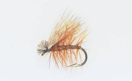 Picture of Caddis, Elk Hair Tan