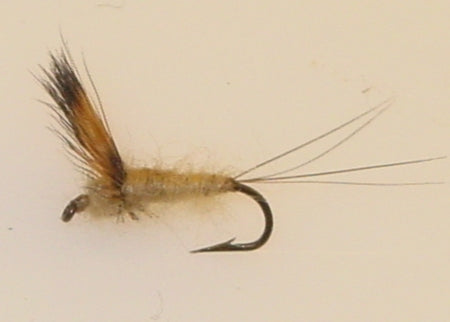 Picture of Comparadun, Tan