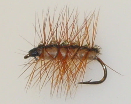 Picture of Crackleback, Tan