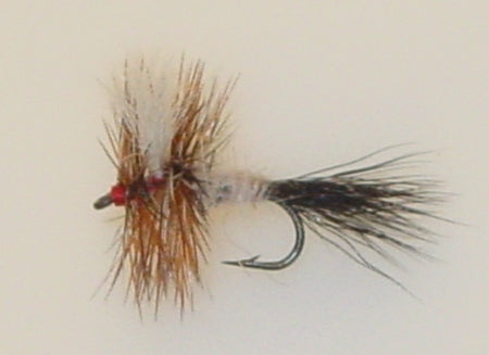 Picture of Wulff, Ausable