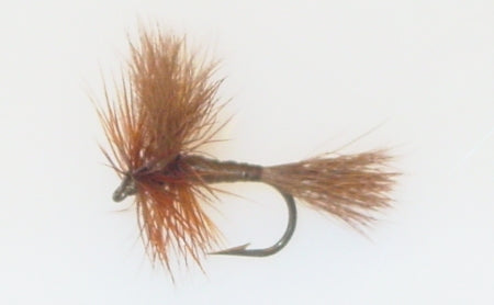 Picture of Wulff, Brown