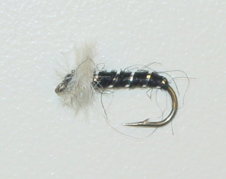 Picture of Chironomid Black