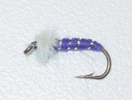 Picture of Chironomid Purple