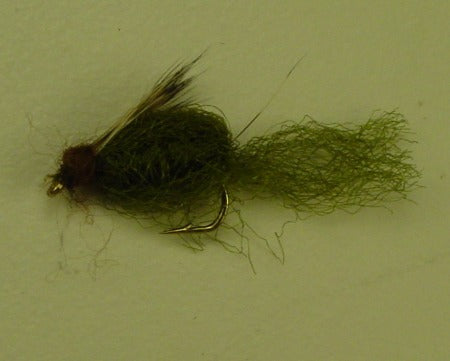 Picture of Emerging Pupa Dark Olive