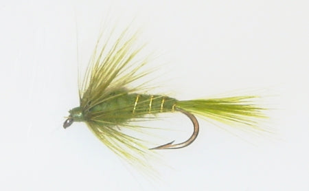 Picture of Green Drake