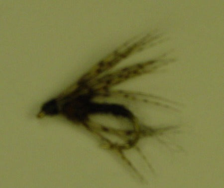 Picture of Partridge Soft Hackle Black