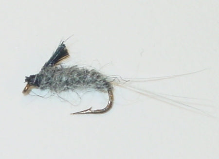Picture of RS2 Nymph