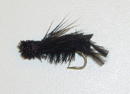 Picture of Cricket