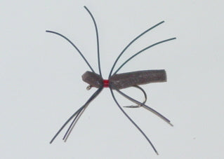Picture of Spider Foam Brown