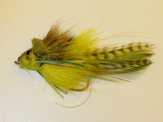 Picture of Swimming Frog Yellow Belly