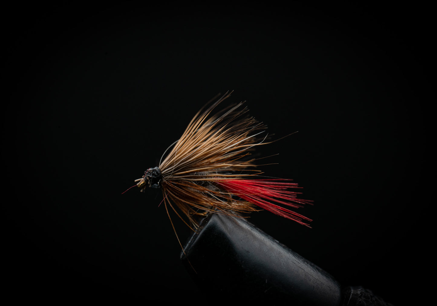 Elk Wing Red Tail