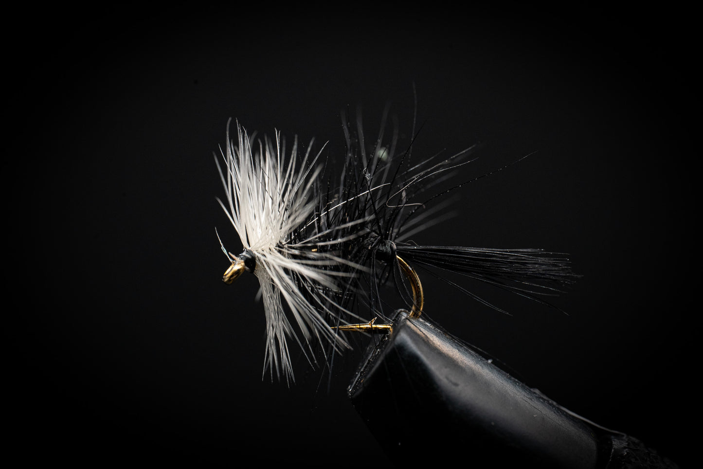 Black Bivisible