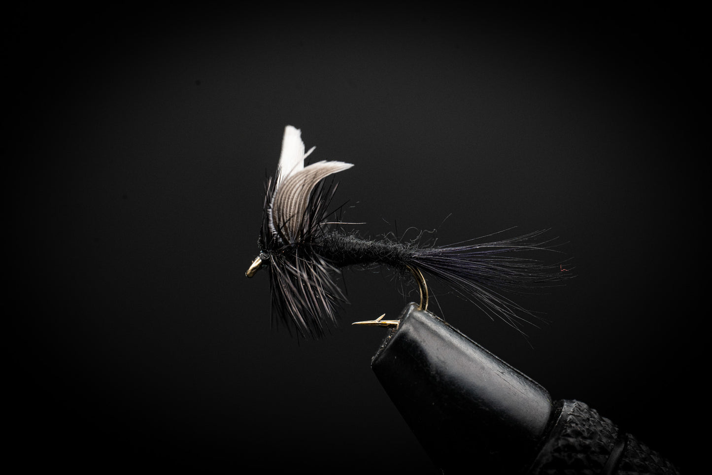 Black Gnat