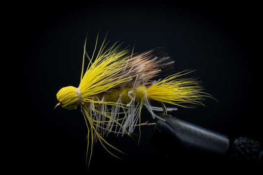 Stonefly Bullethead Yellow