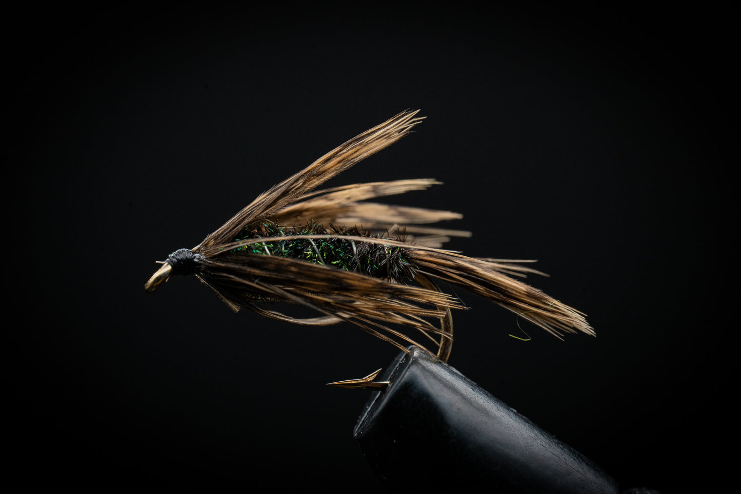 Carey Special Peacock