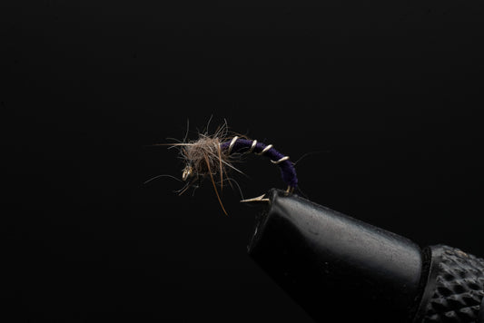 Chironomid Purple