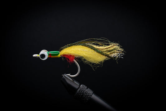 Chroma Shad