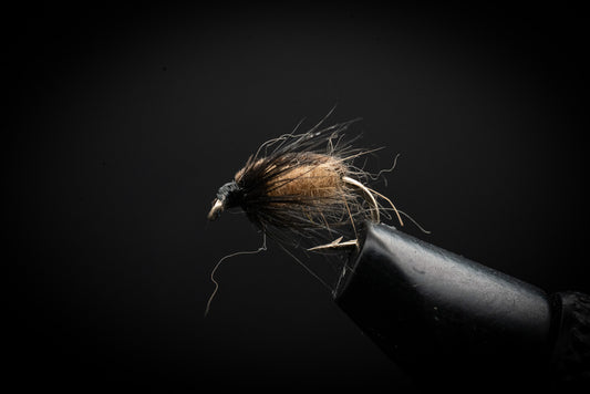 Colorado Caddis