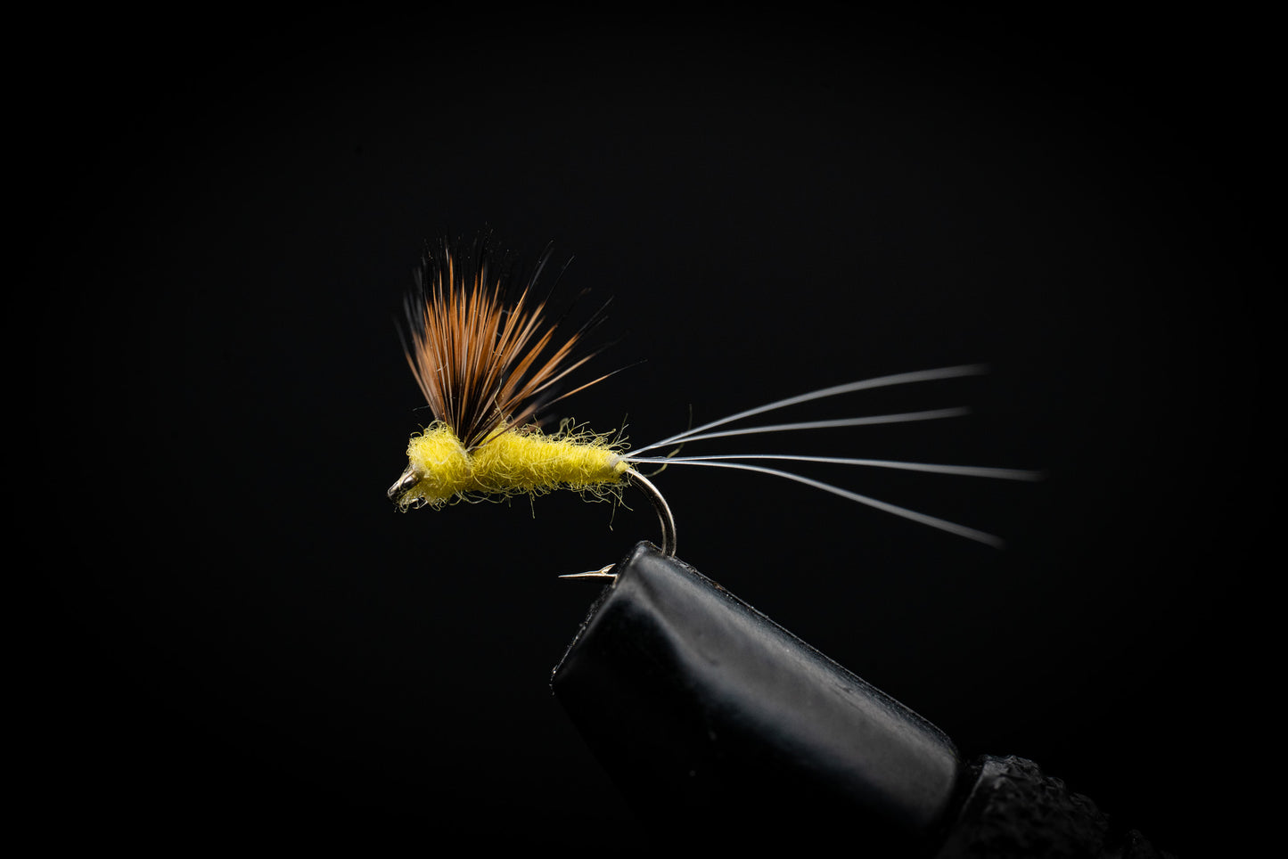 Comparadun, Yellow