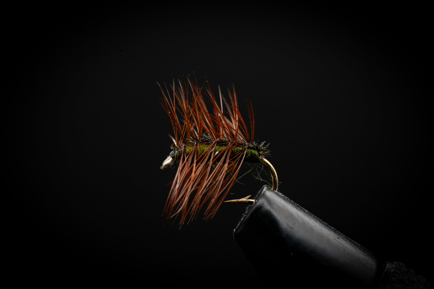 Crackleback, Olive