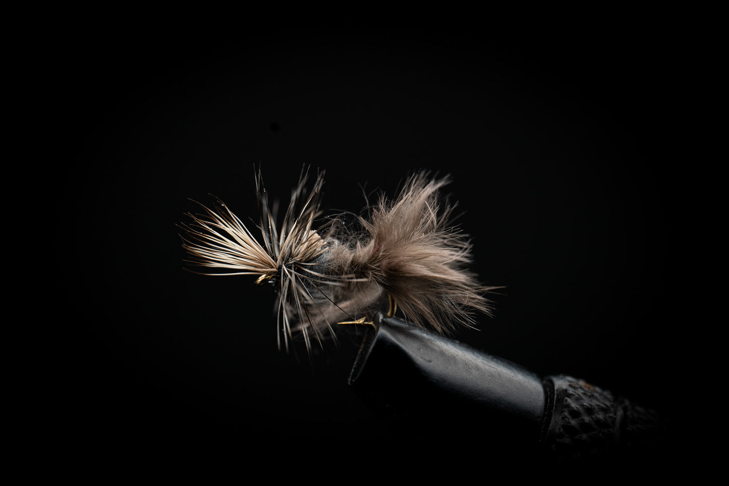 Mayfly Cripple Callibaetis