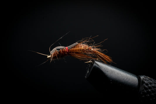 Damsel Nymph Slim Brown