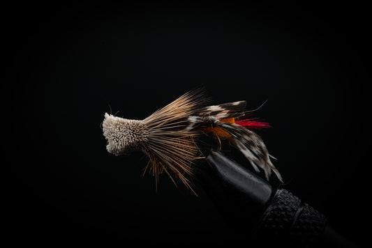 Hopper Dave's Orange