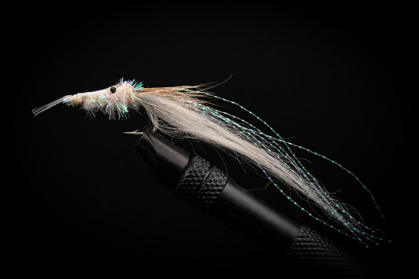 Ghost Shrimp