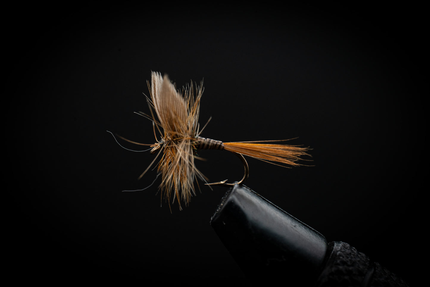 Ginger Quill