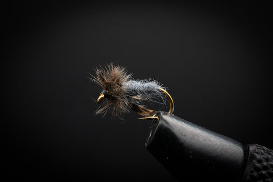 Nymph Gray