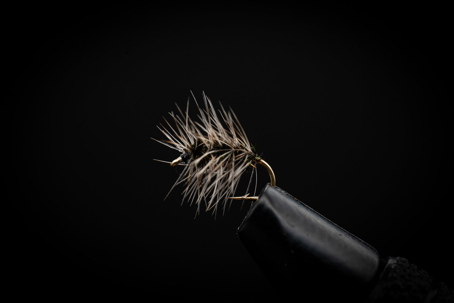 Griffith's Gnat