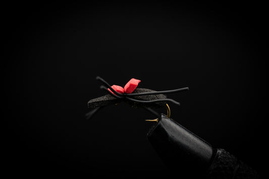 Hi Vis Black Foam Beetle