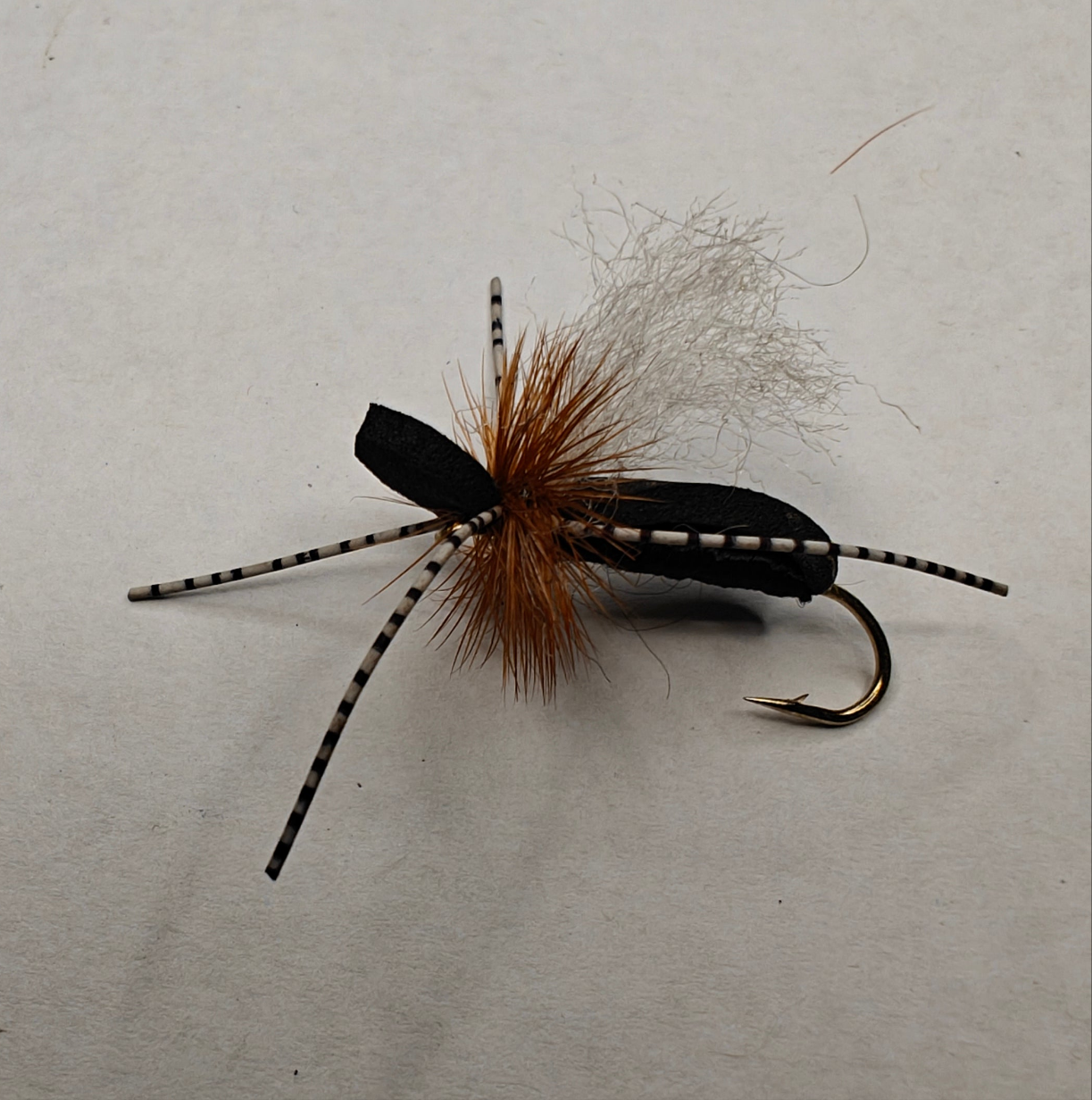 San Juan River Ant