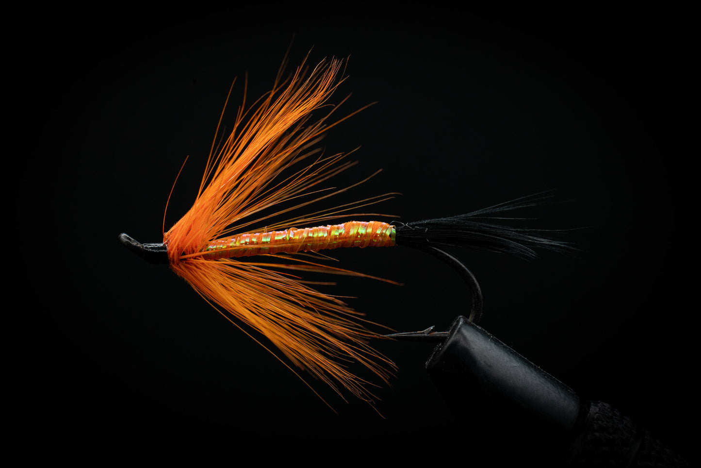 Lantern Orange