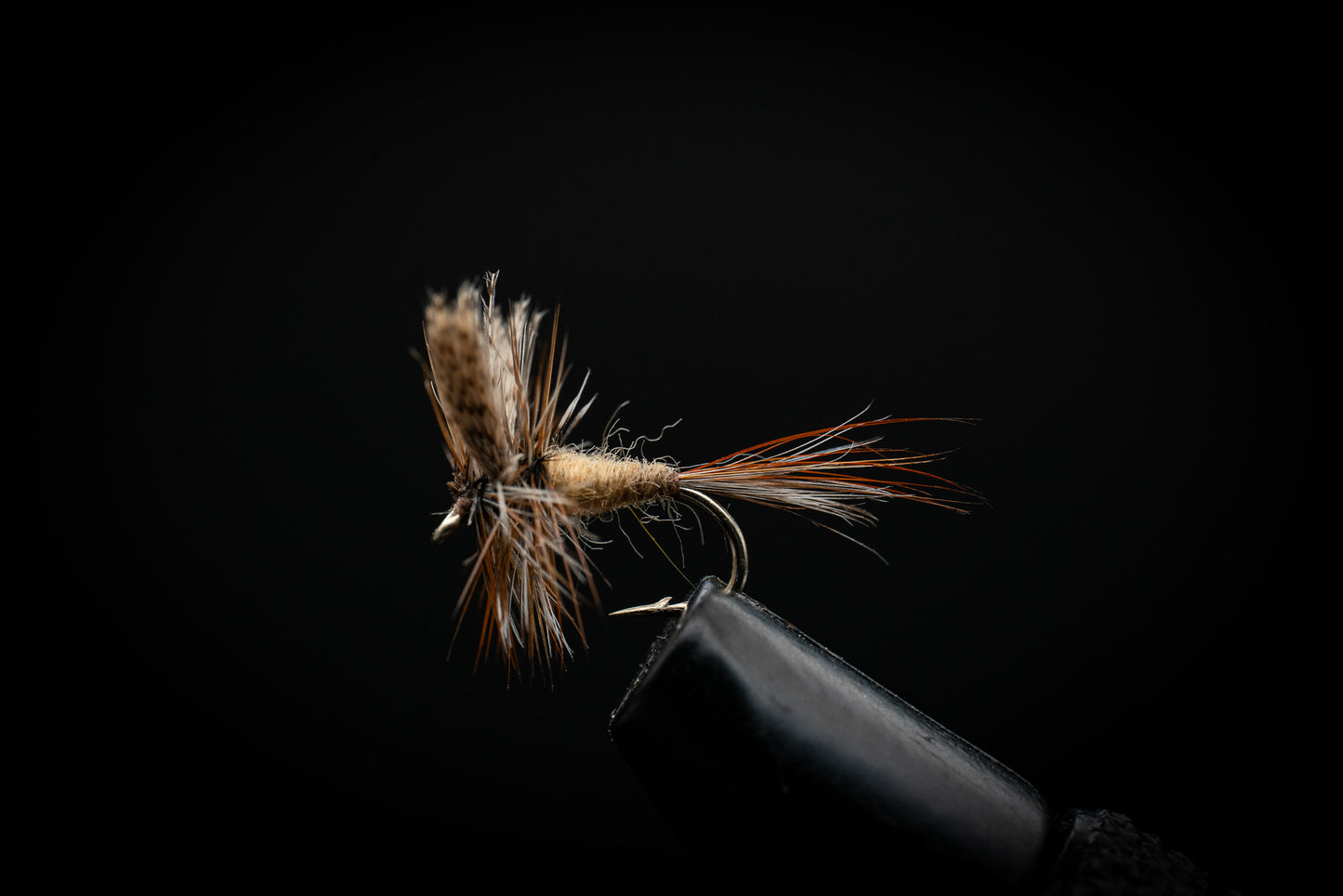March Brown