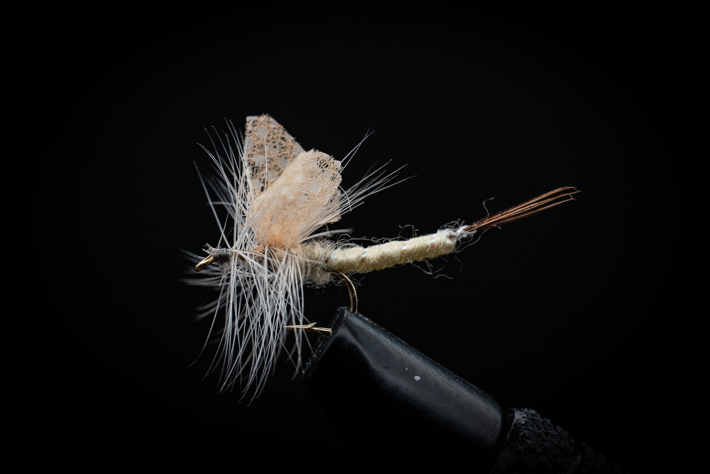 Mayfly, Cream