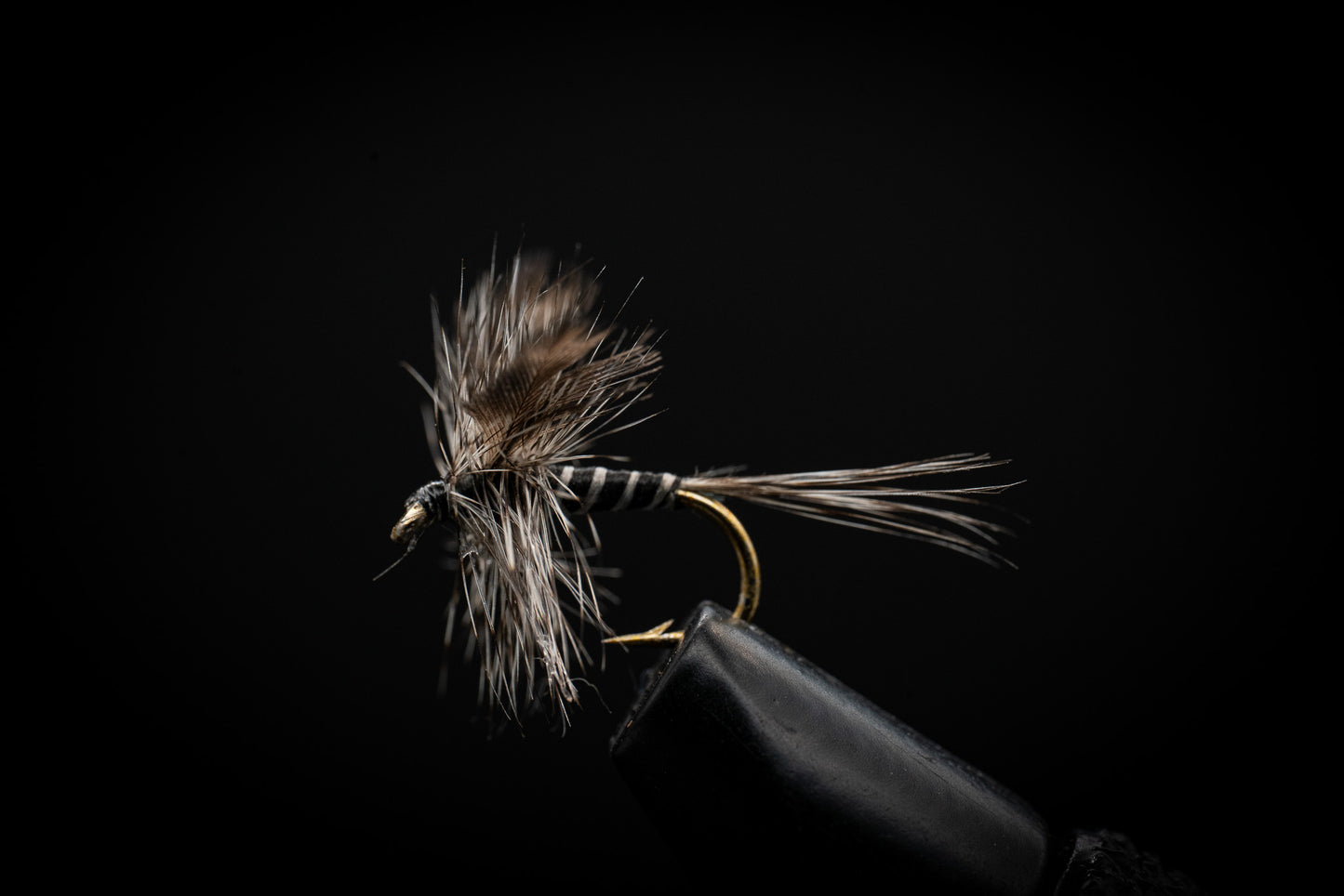 Mosquito