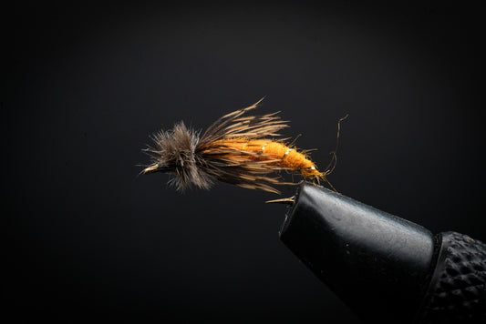 Caddis October
