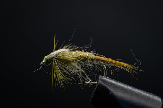 Nymph Olive