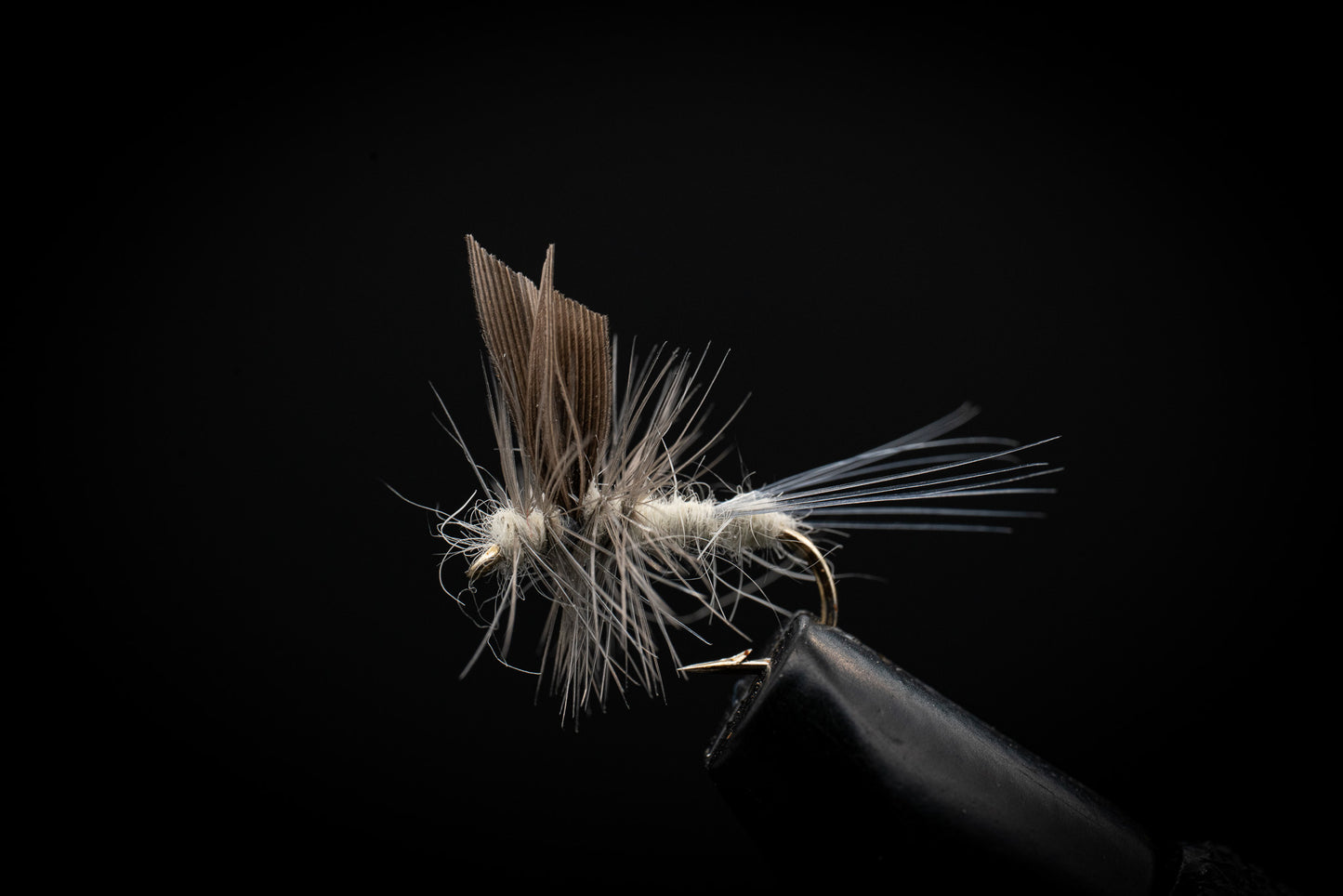 Pale Morning Dun Thorax