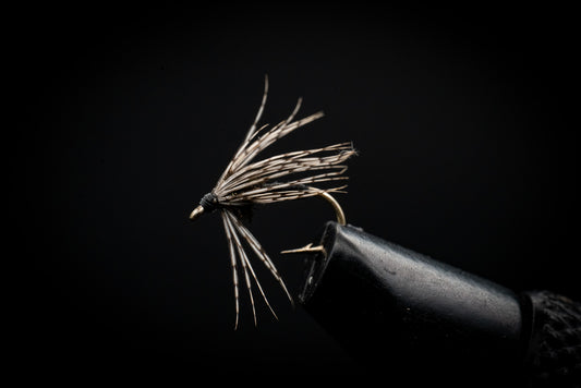 Partridge Soft Hackle Black