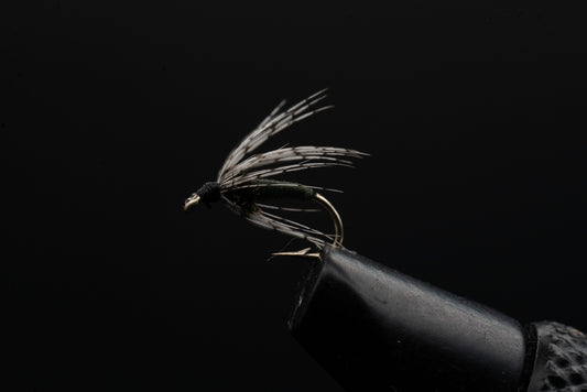 Partridge Soft Hackle Olive