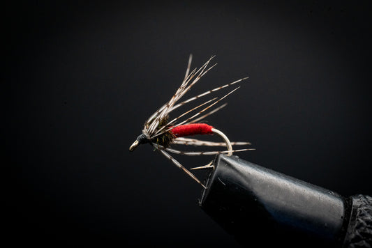 Partridge Soft Hackle Red