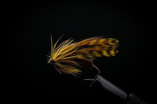 Platte River Special