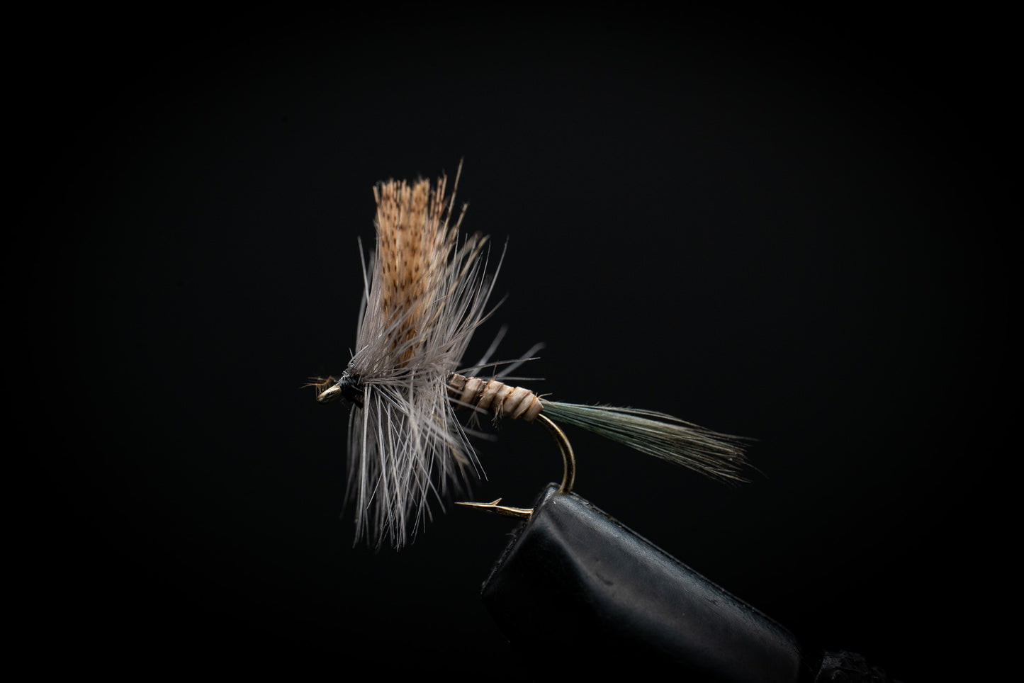 Quill Gordon