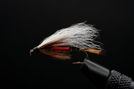 Royal Coachman Bucktail